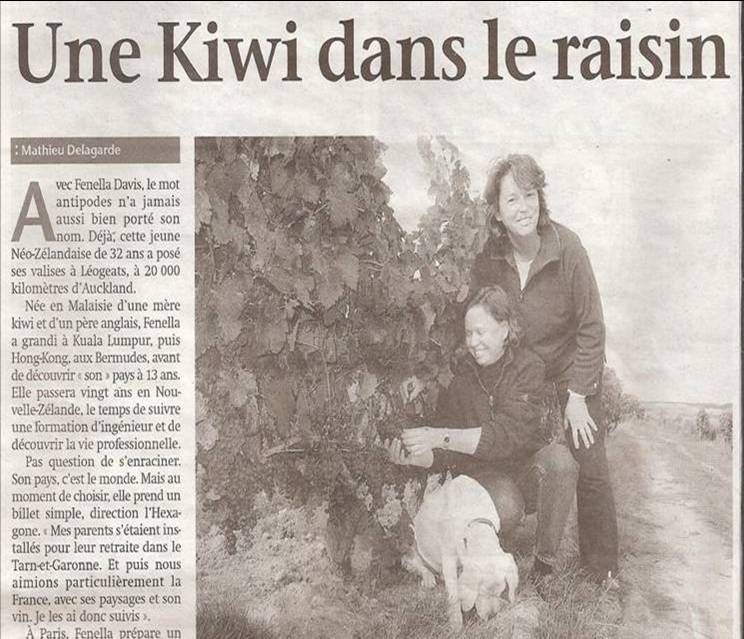 Une Kiwi dans le Raisin